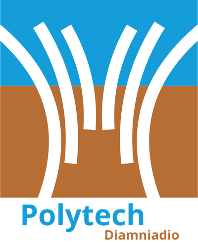 Logo Polytech Diamniadio